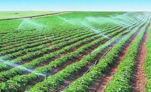 干的又深又痒好多水的视频农田高 效节水灌溉